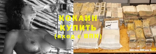 соль ск Арсеньев