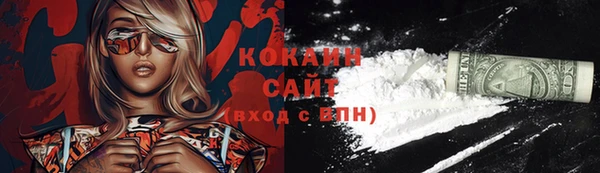 соль ск Арсеньев