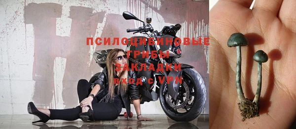 соль ск Арсеньев